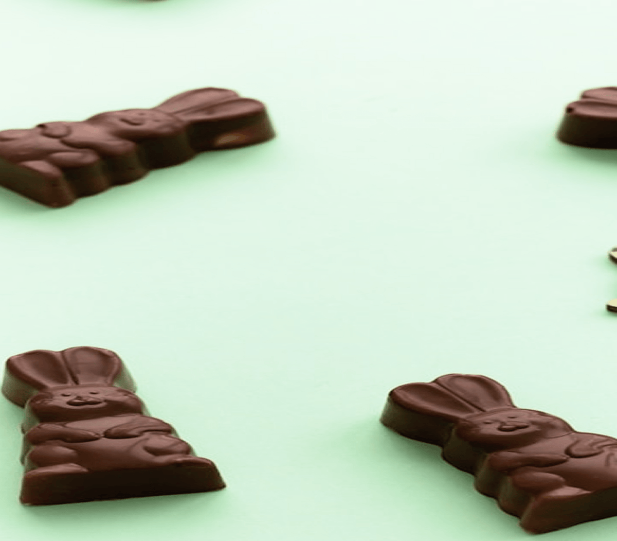 WHY CHOCOLATE IS NEVER A SAFE TREAT FOR ANY CURIOUS HOUSE CAT