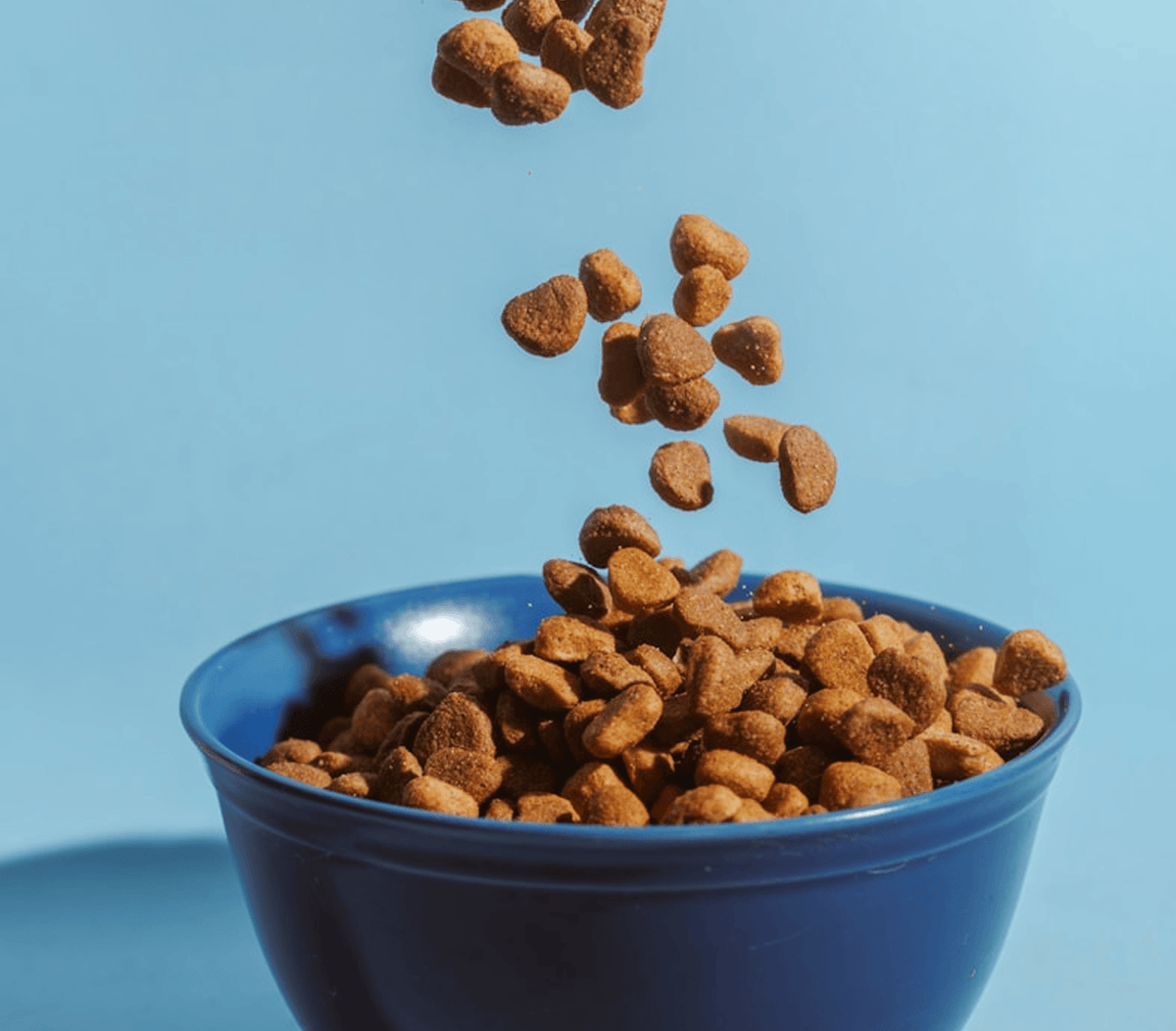 HOW MUCH KIBBLE SHOULD YOU POUR INTO THE BOWL EACH MEAL DAILY