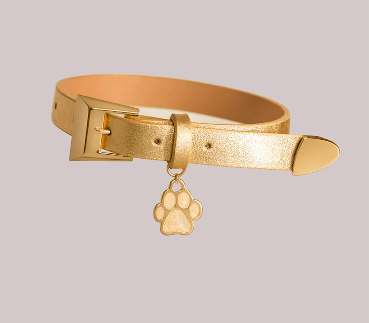 GOLD PAW CHARM COLLARS: STYLE MEETS EVERYDAY CAT SAFETY AND COMFORT
